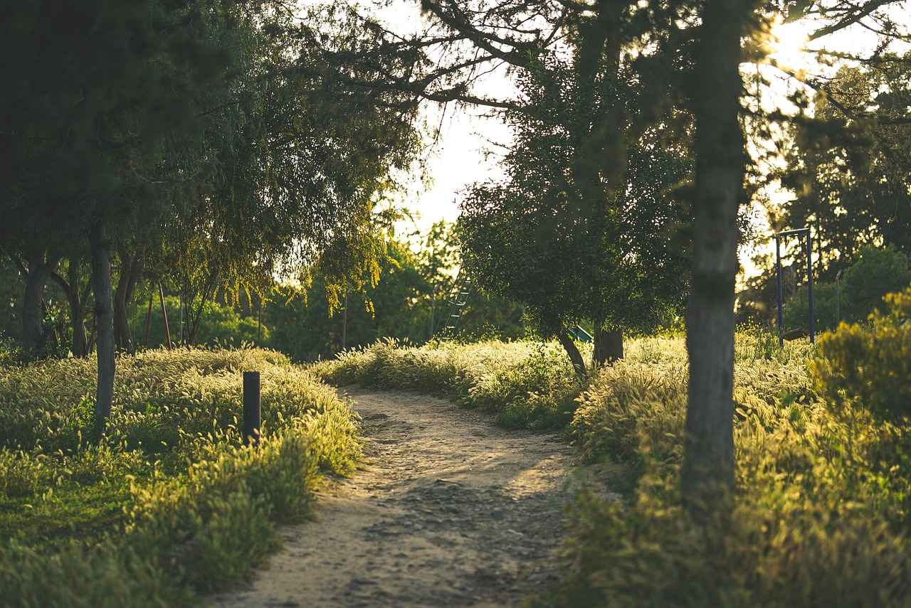 Buhurdanlık ile Burçlara Göre Kokular 8 Terazi Burcu için Uygun Kokular