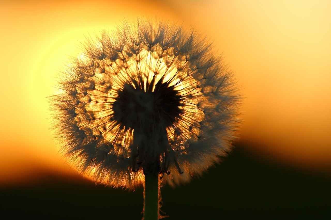 Buhurdanlık ile Egzotik Kokular Deneyimleyin 2 Buhurdanlıkların Tarihçesi