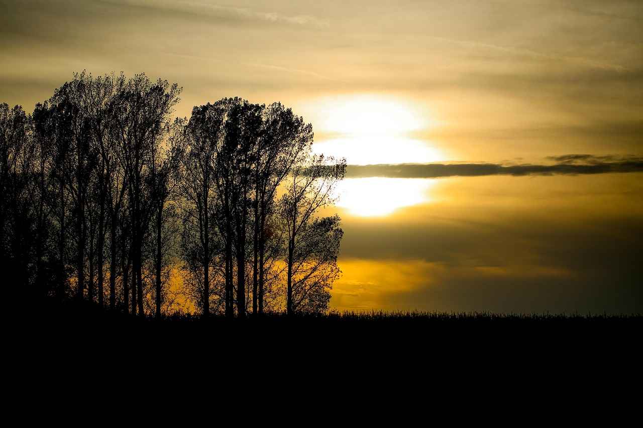 Buhurdanlık Kullanımı ile Evinizi Kişiselleştirin