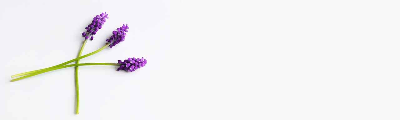 Buhurdanlık ile Evinizi Negatif Enerjiden Arındırın 3 Buhurdanlık Nasıl Kullanılır?