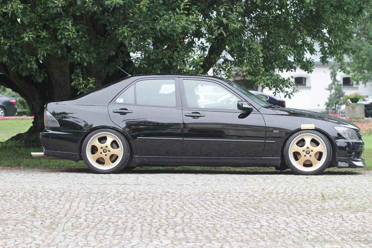 Kokuların Kullanım Alanları