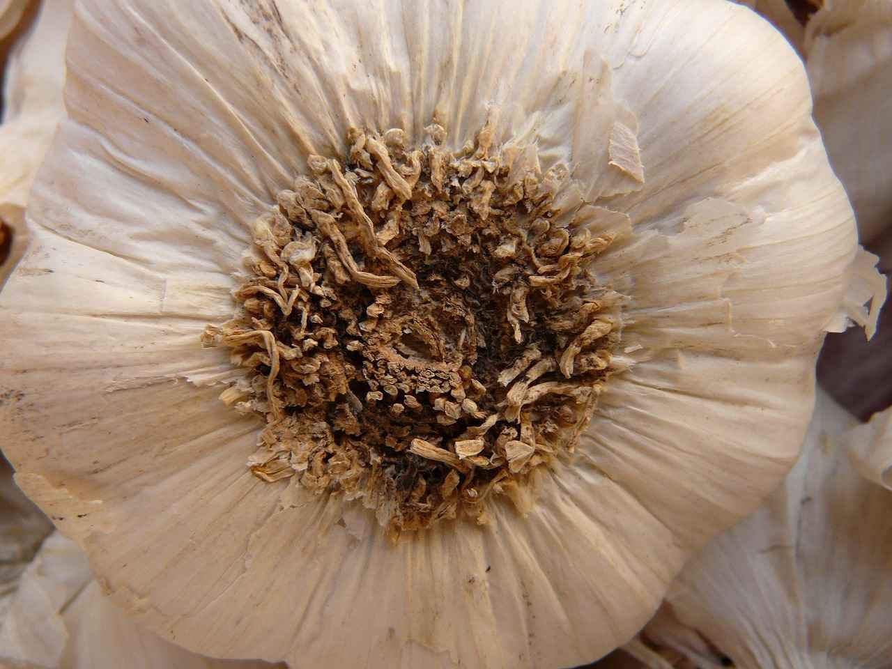 Buhurdanlık Nedir ve Nasıl Kullanılır?