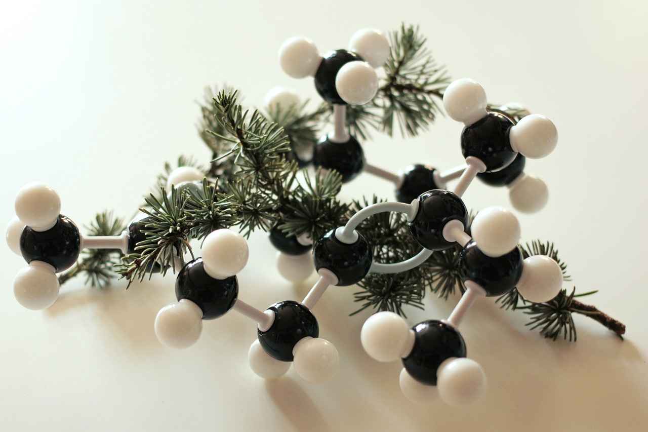 Aromaterapi Nedir?