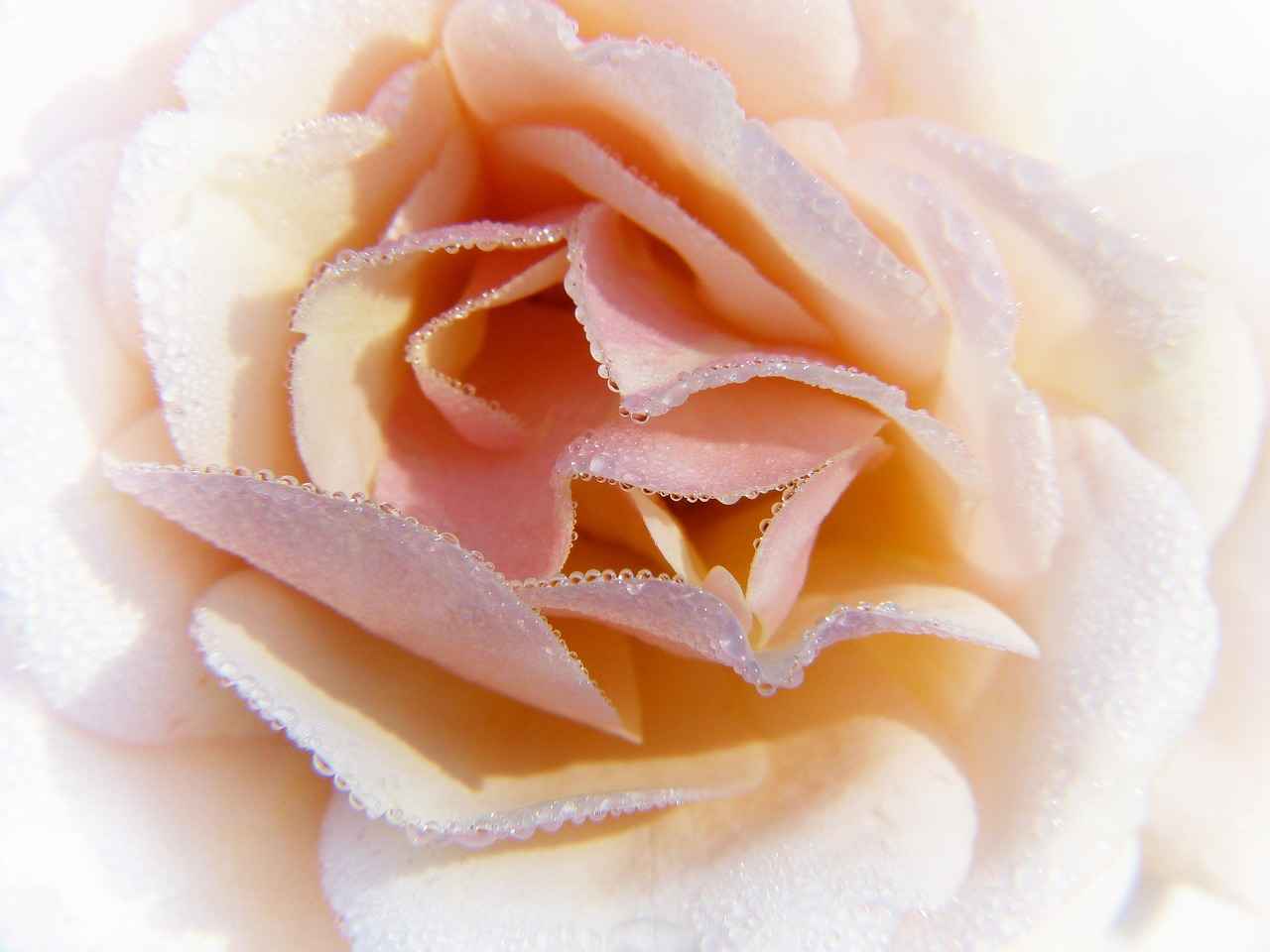 Buhurdanlık Kullanırken Dikkat Edilmesi Gerekenler