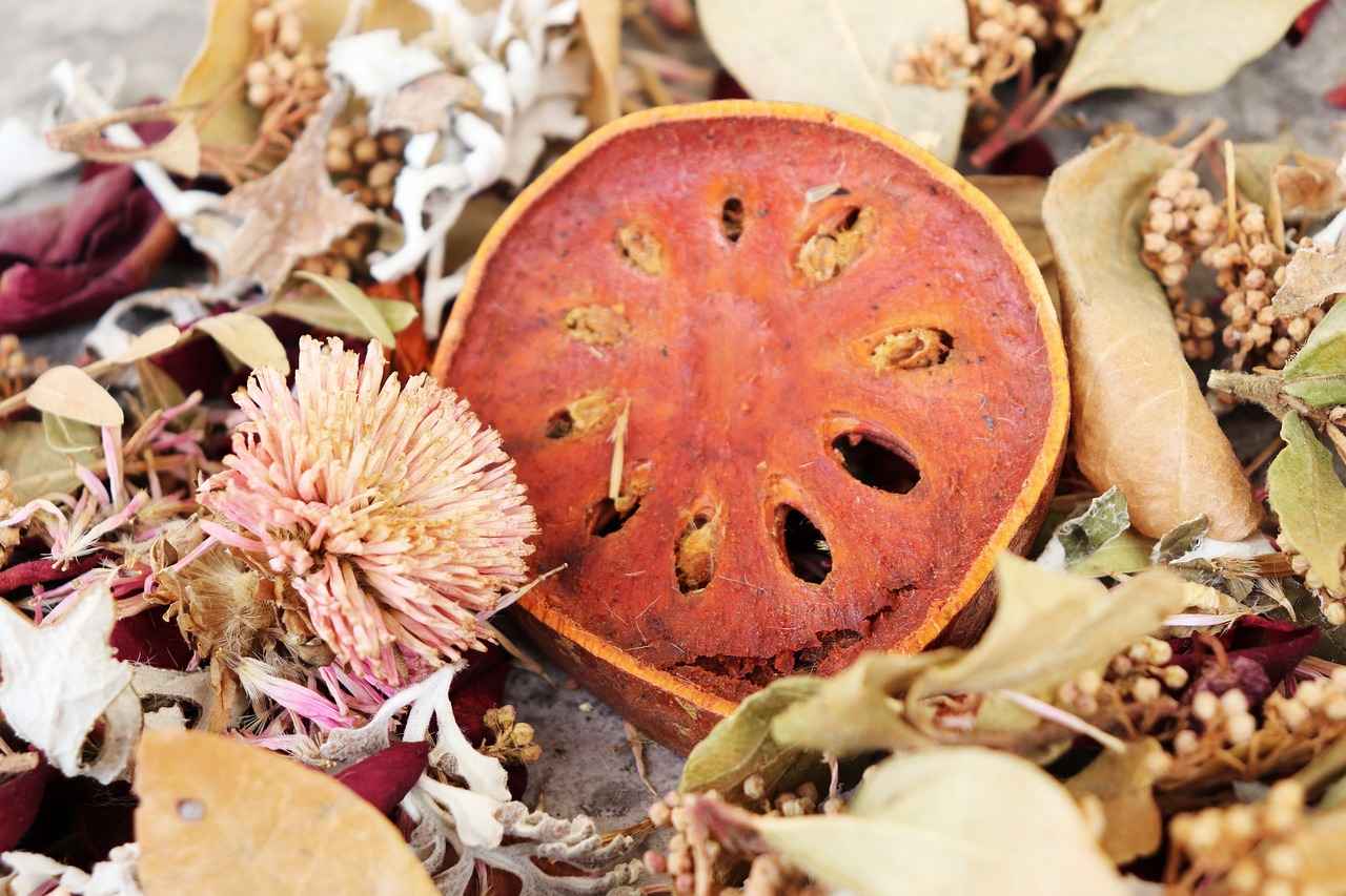 Buhurdanlık Yağlarını Karıştırarak Özel Kokular Yaratın 6 Sonuç: Kendi Aromatik Dünyanızı Yaratın