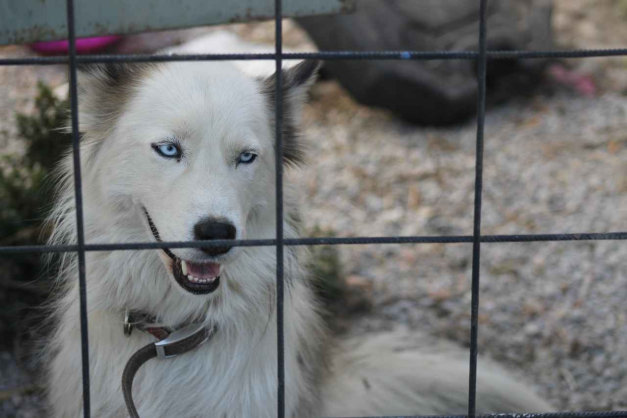 Buhurdanlık Kullanımında Dikkat Edilmesi Gerekenler