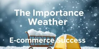 E-Ticaret Başarısını Artırmak İçin Hava Durumunun Önemi The Importance of Weather in Boosting E-Commerce Success